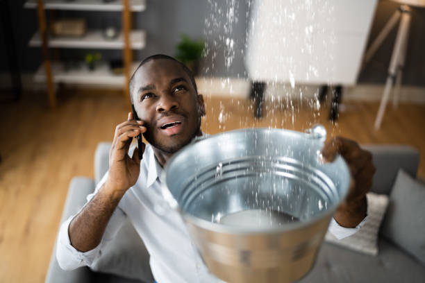 Best Flood damage cleanup  in Georgetown, GA