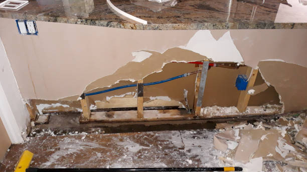 Best Basement water damage restoration  in Georgetown, GA