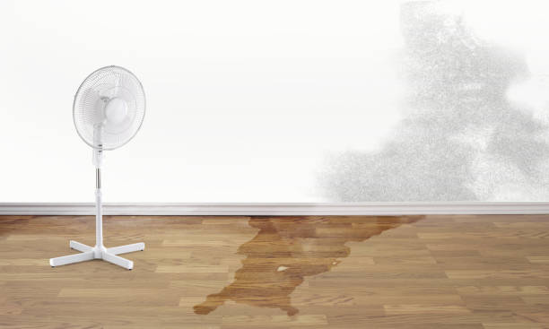 Best Emergency water damage restoration  in Georgetown, GA