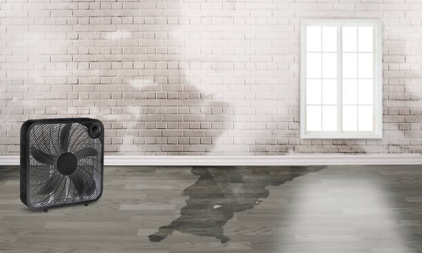 Best 24/7 water damage repair  in Georgetown, GA