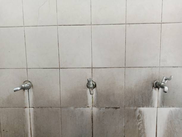 Best Water damage restoration services  in Georgetown, GA