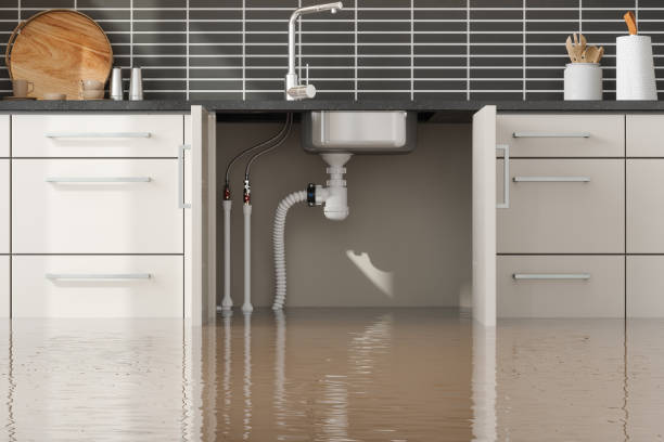 Best Water damage contractors near me  in Georgetown, GA